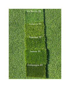 venta de césped artificial isla bonita 24mm