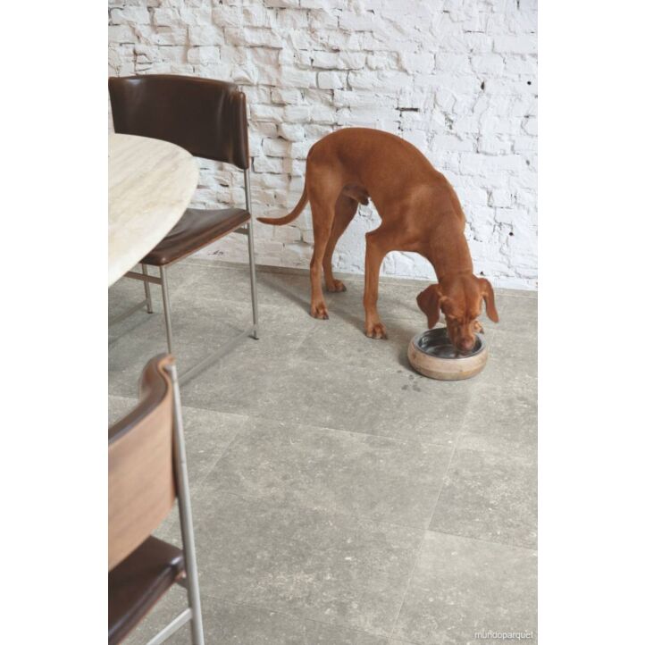 Suelo laminado de Quick-Step de la colección Muse Arenisca Azul Oscuro instalado en un ambiente de salón con un perro bebiendo agua