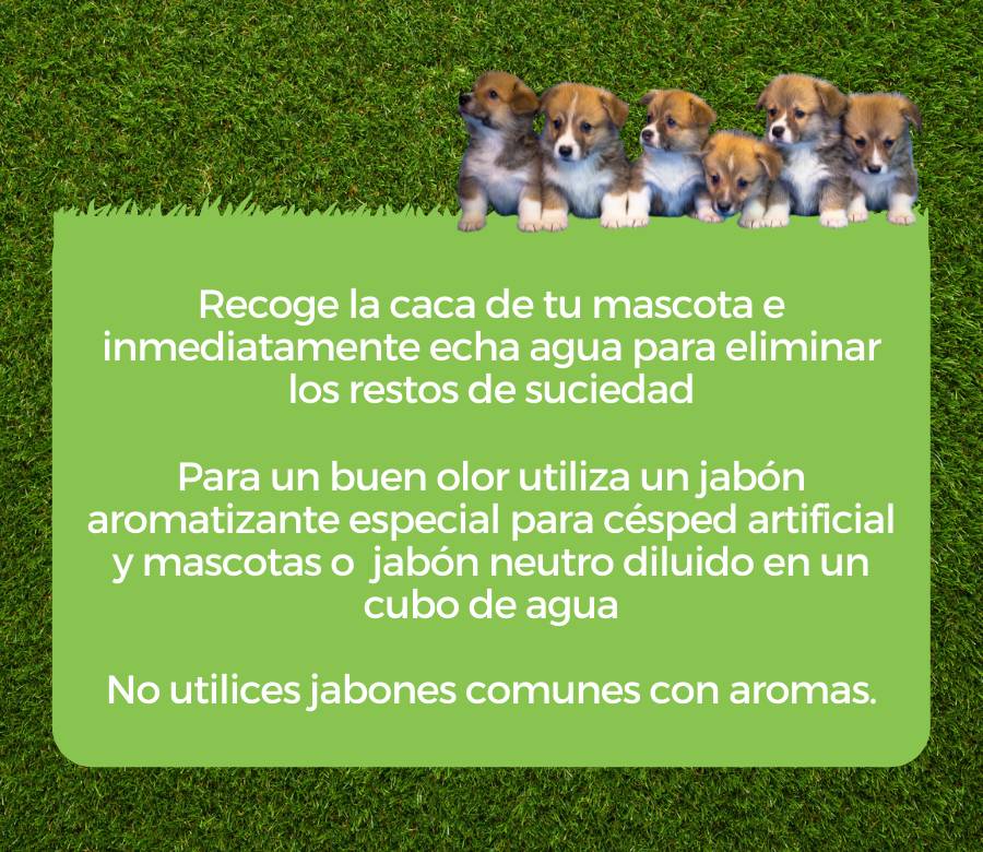 limpieza de césped artificial con perros 