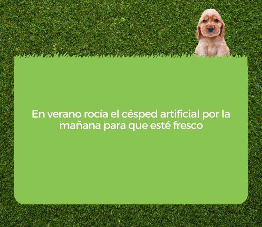 mantenimiento y limpieza de césped artificial con perros 