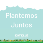 Súmate a Plantemos Juntos, el mejor momento es ahora.